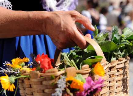 Holiday in South Tyrol